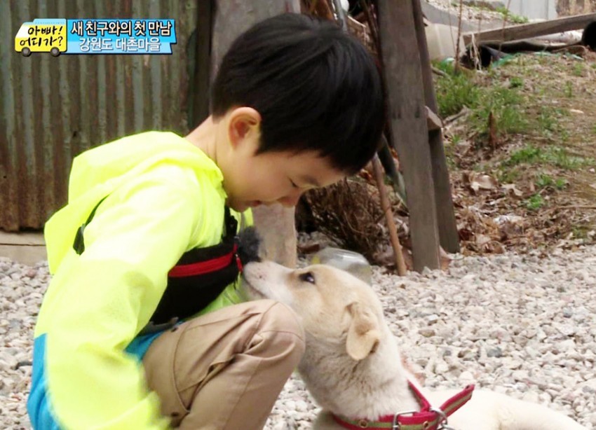 [아빠어디가] 동물이란 동물은 다 좋아하는 것 같은 민율이ㅋㅋ (아기♥동물=힐링) | 인스티즈