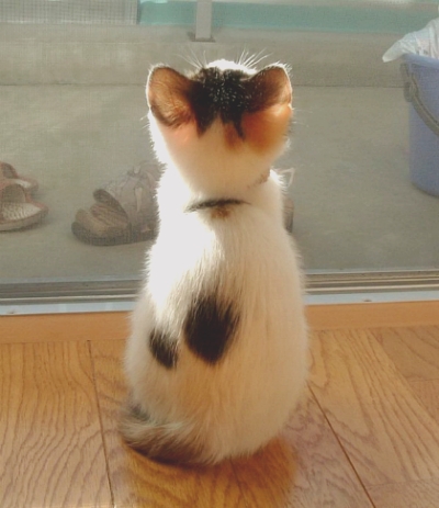 뒷모습 ㄷㄷㄷㄷㄷㄷ | 인스티즈