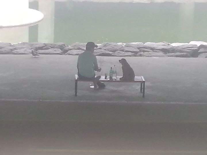 개를 키워야하는이유 | 인스티즈
