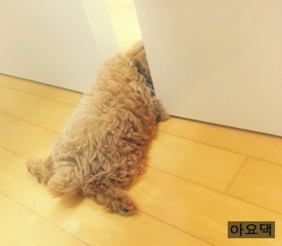 하나언니 이미지