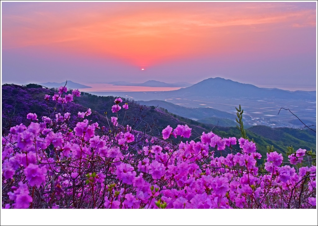 고려산 이미지