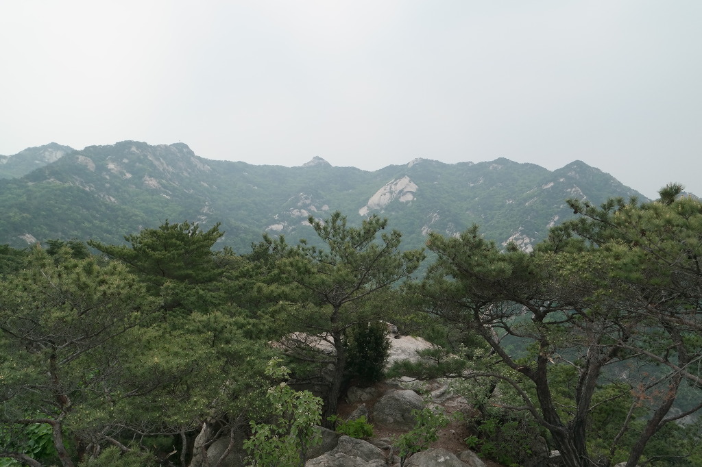 응봉 정상 이미지