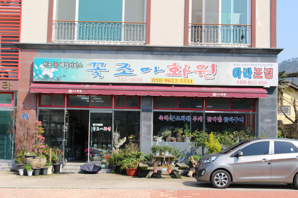 꽃조아 이미지