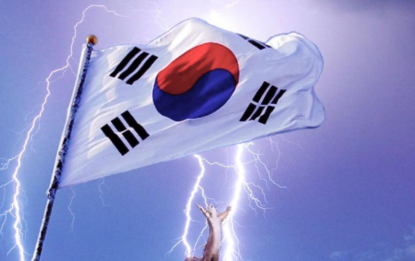 군인의 다리 | 인스티즈