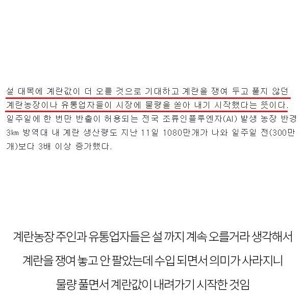 갑자기 내려간 계란값.jpg | 인스티즈