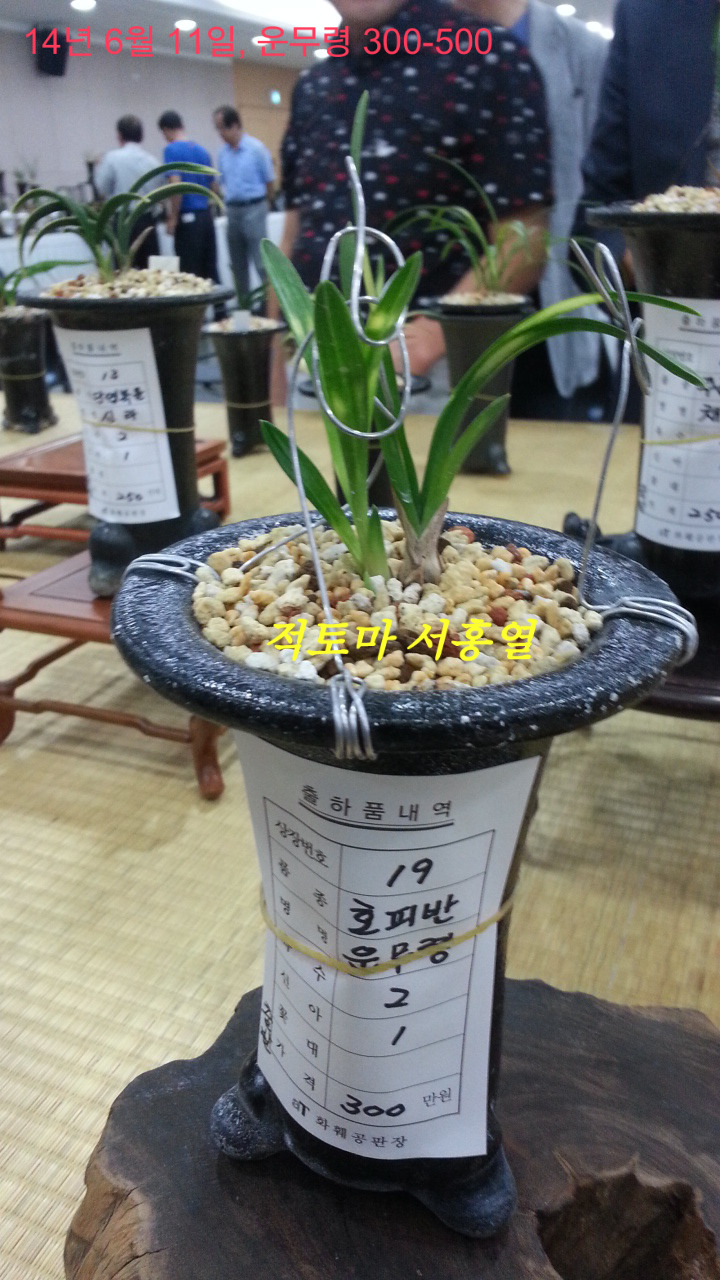 한국공판장 이미지