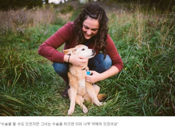 반려견과의 만남과 이별 과정.jpg | 인스티즈