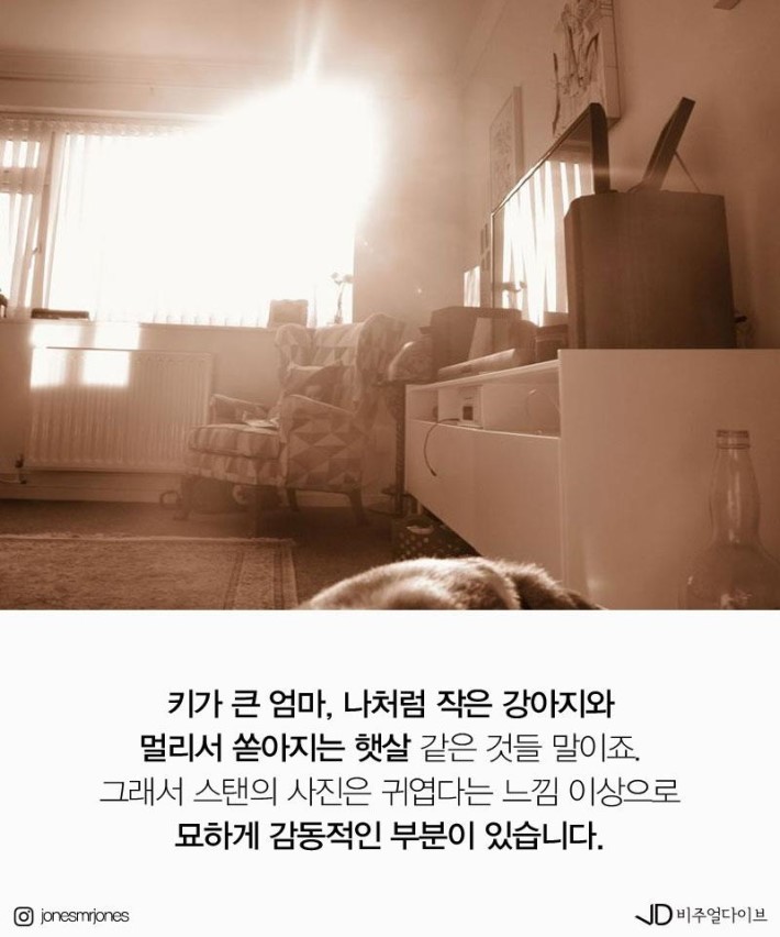 19개월 아기가 찍은 사진들 | 인스티즈