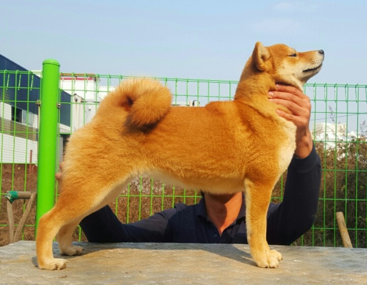 류지 이미지