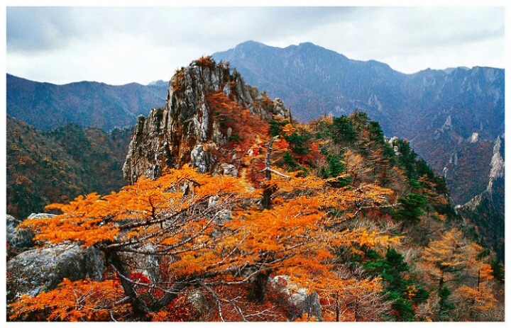 금강산에 이미지