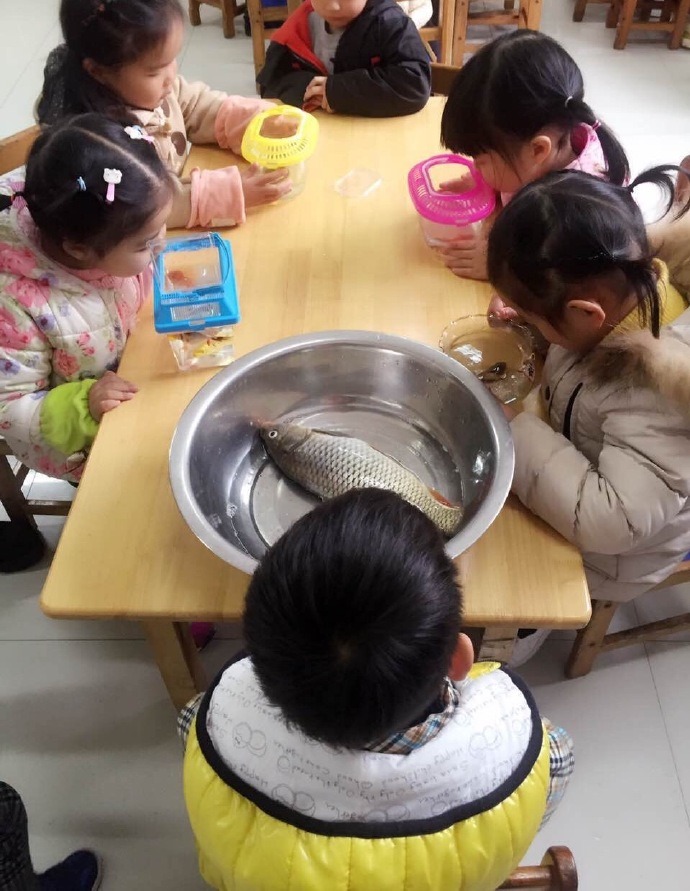 선생님이 물고기 가져와서 관찰하라고 했다.jpg | 인스티즈