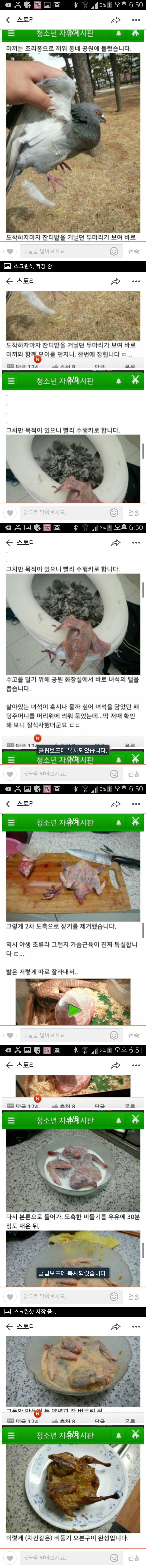 비둘기 오븐구이 만들기 (혐오주의) | 인스티즈