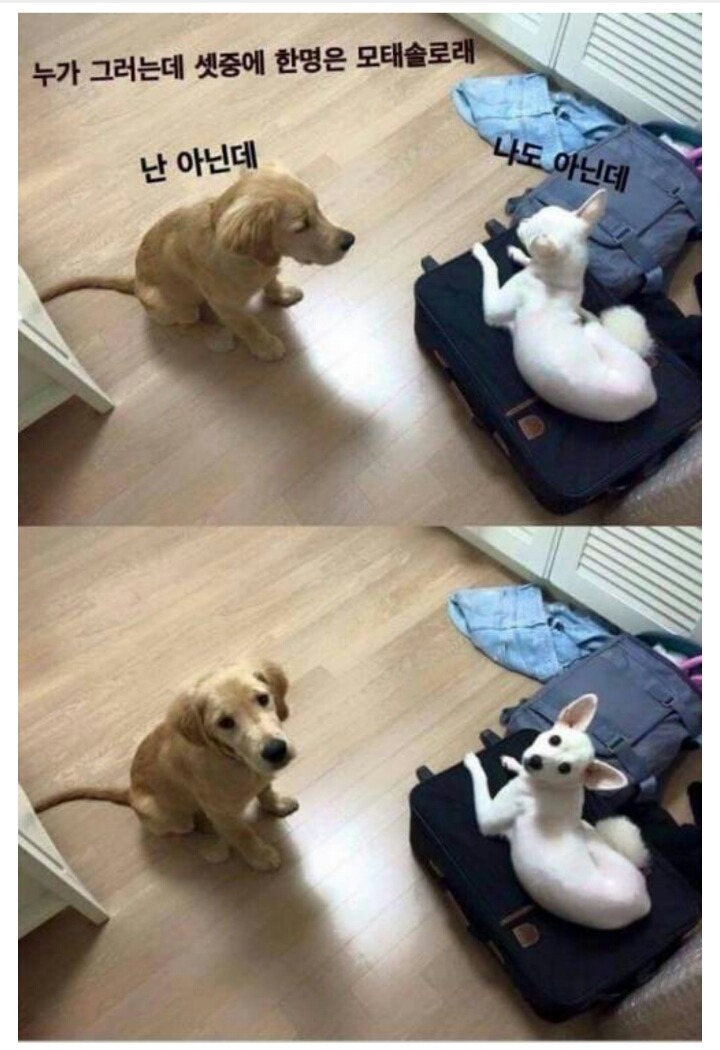 누 이미지