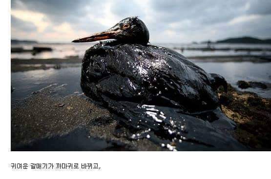 흔한 우리 국민들의 단결력 | 인스티즈