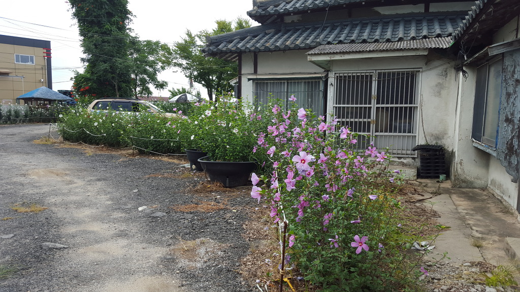 246C324256248F92277435