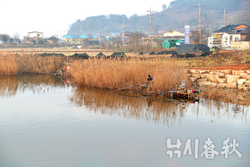 계화 이미지