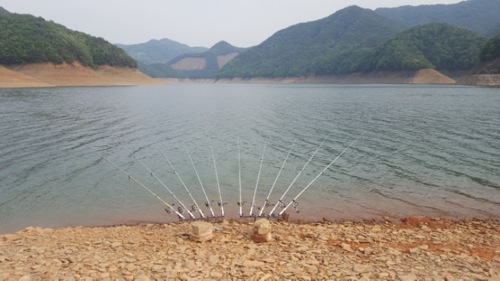 청풍낚시터 이미지