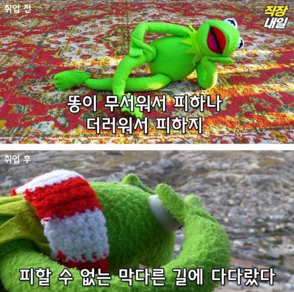 월요병걸린 쌍커들을 위한 취직전 vs 취직후 (개구리 귀여움 주의)-이미지 추가 | 인스티즈