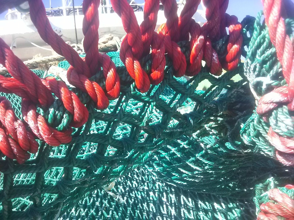 선미자원 이미지