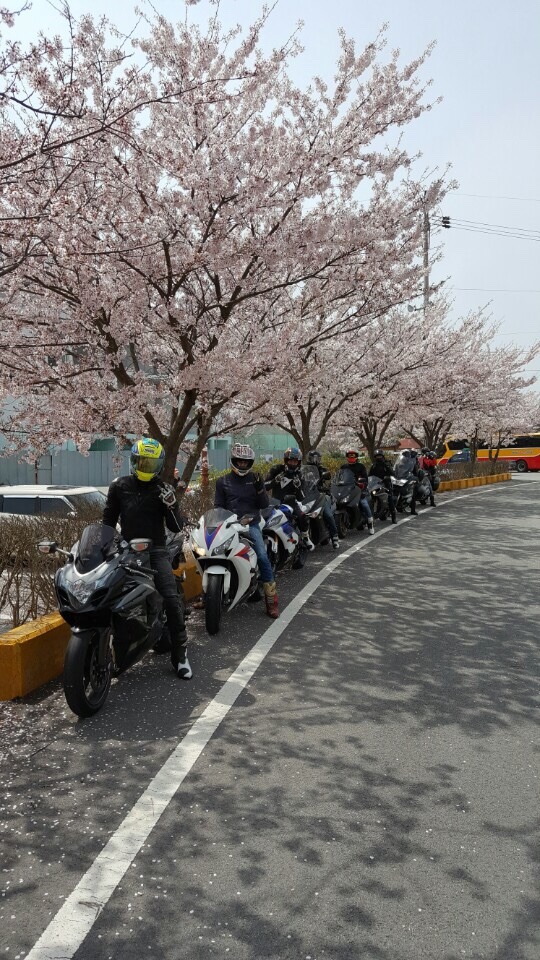 달인투어 이미지