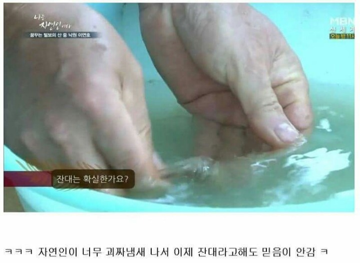 급섭외한것같은 자연인 ㅋㅋㅋㅋㅋㅋㅋ.jpg | 인스티즈