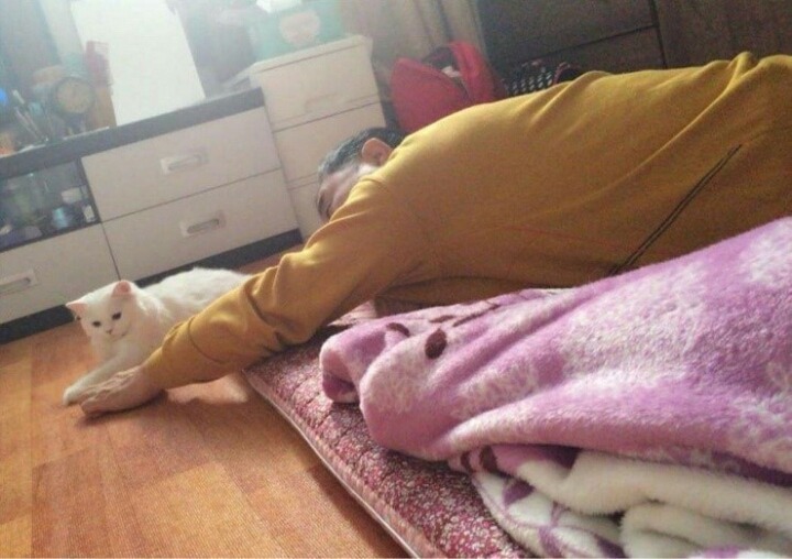 아빤 고양이 싫다.jpg | 인스티즈