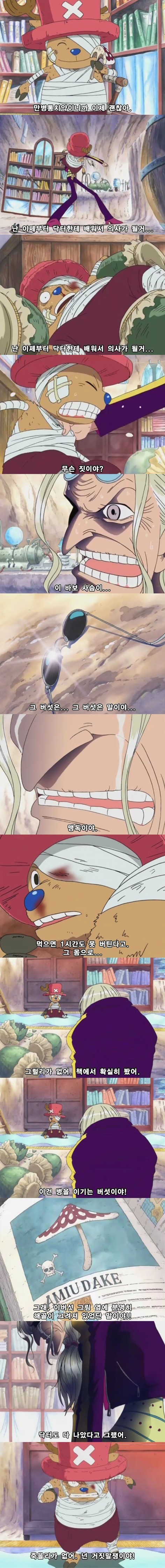 개인적으로 생각하는 원피스 에피소드 중 가장 슬픈 에피소드 | 인스티즈