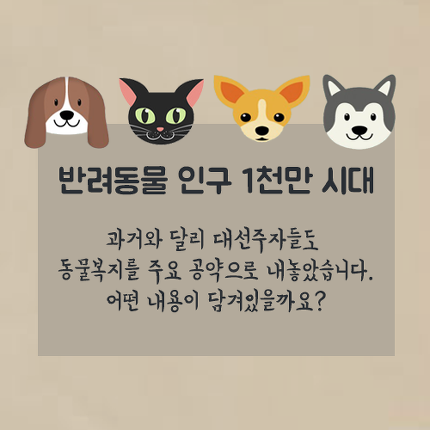 대선후보 5인의 반려동물 공약 | 인스티즈