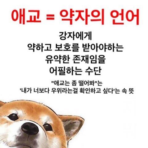 인스타그램의 계정ㅋㅋㅋㅋㅋ | 인스티즈