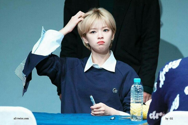 팬즈 이미지