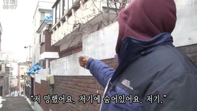 개를 무서워하는 콩고동상들 | 인스티즈