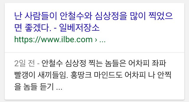 심상정 찬양하는 일베사이트 일베충들.jpg | 인스티즈