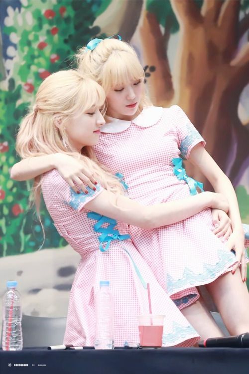 우주소녀 공식 커플 루다♡은서 | 인스티즈