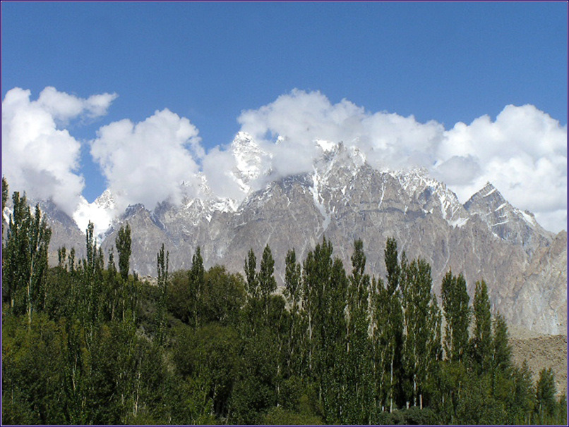 252D4633590C259D31F02D