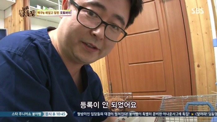 [TV동물농장] 동물농장에서 방송된 인천의 한 개 도축장의 현실.jpg | 인스티즈
