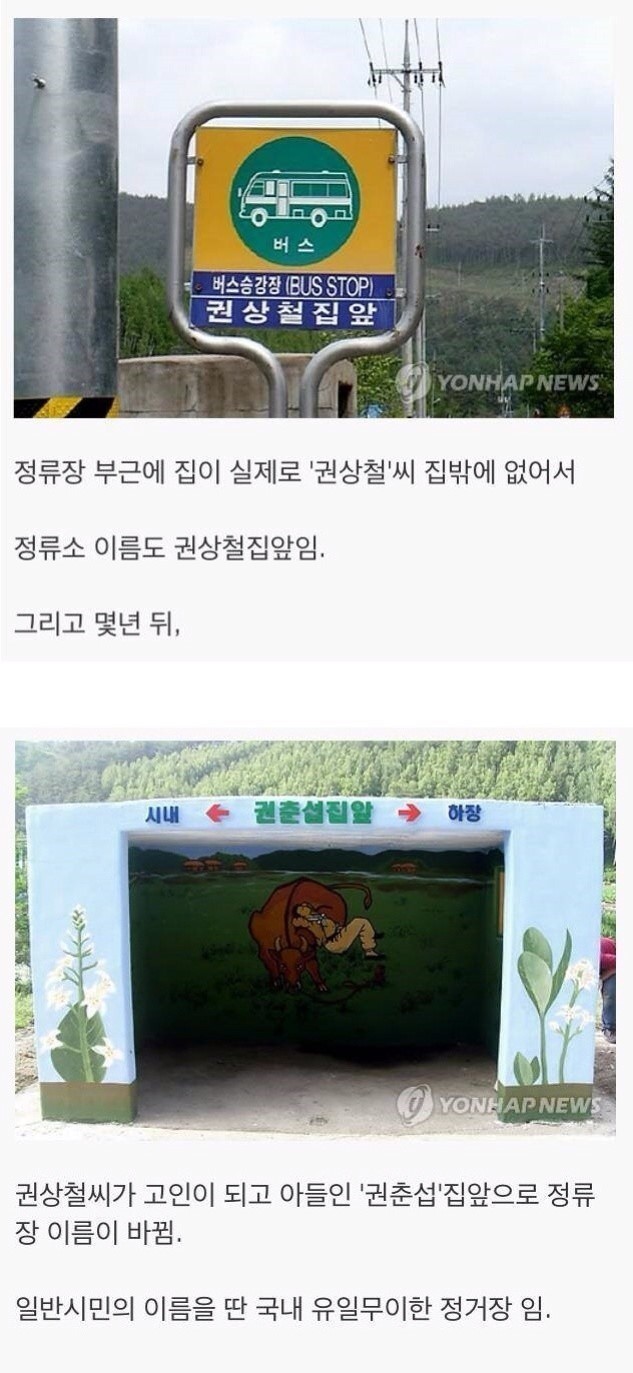 실제로 존재하는 레전드 정류장 | 인스티즈