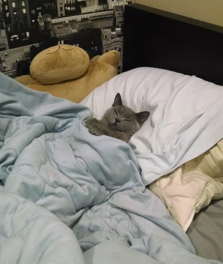 말랑말랑 이미지