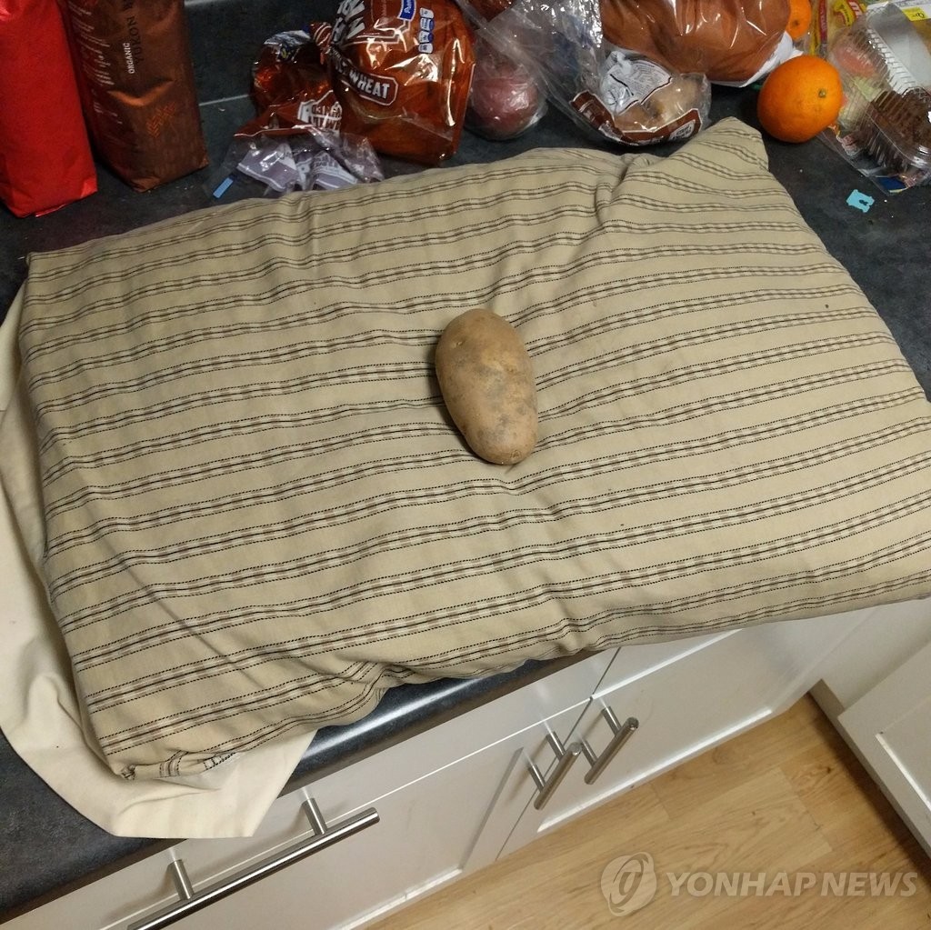 감자로 표현한 디즈니 공주들.jpg | 인스티즈