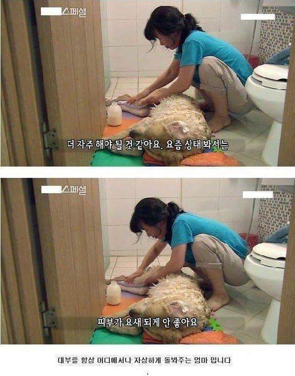 세상에서 가장 아름다운 이별 | 인스티즈