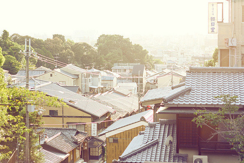 일본 특유의 조용함과 청량함 (+ | 인스티즈