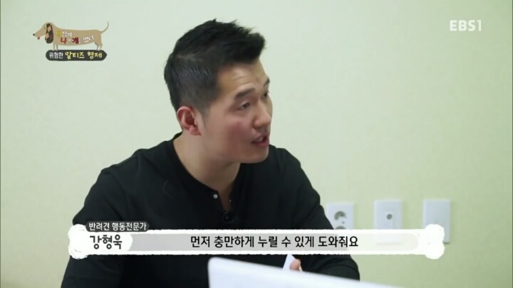 공격적인 반려견이 되는 이유 2부.jp | 인스티즈