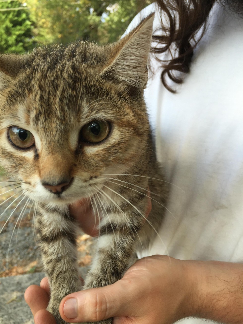 킬러라고 불리운다는 어느 냥햏.jpg | 인스티즈