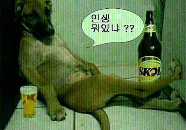 산책 이미지