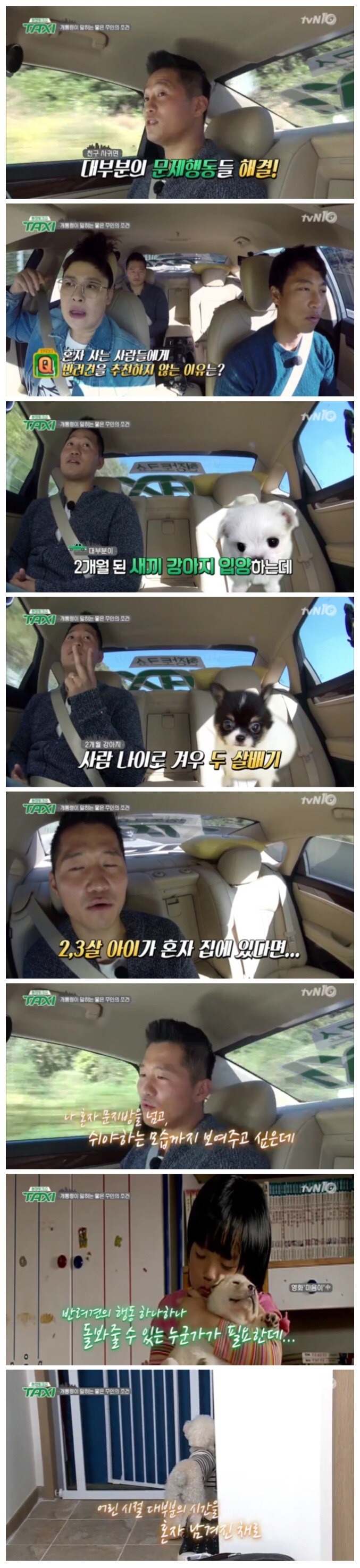 반려동물 키우면 안되는 사람들의 이유 | 인스티즈