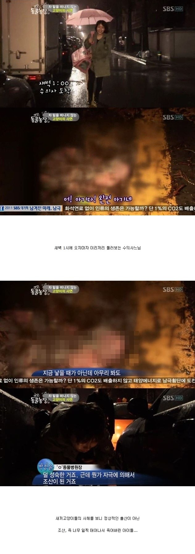 눈물을 흘리는 고양이 | 인스티즈
