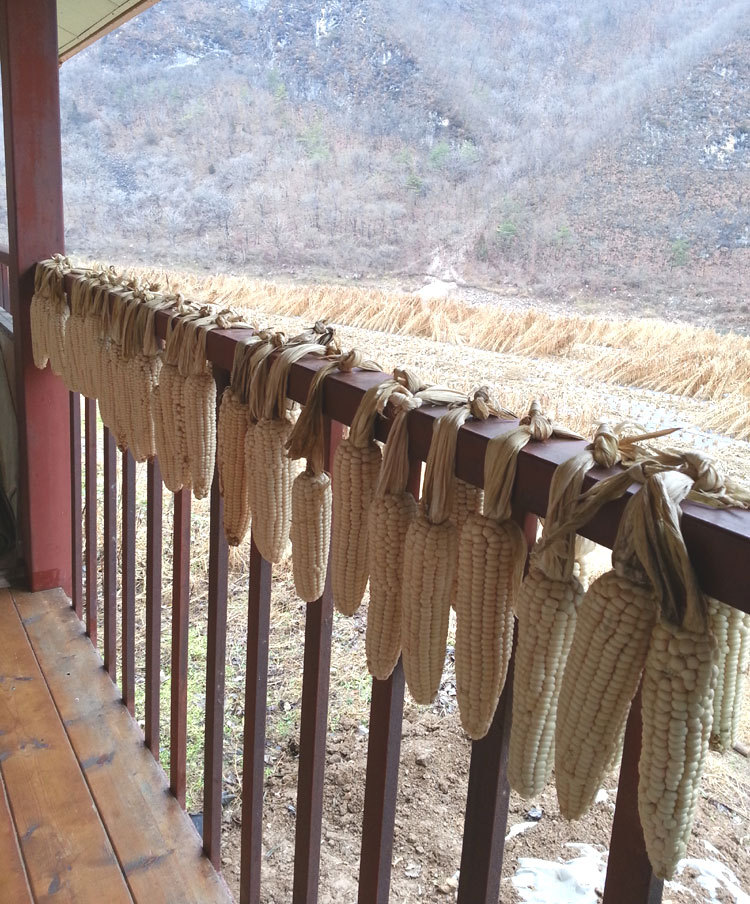 석우회 이미지