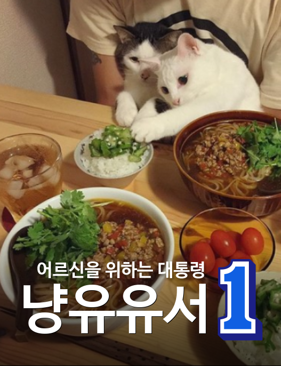 문재인 닷컴 포스터 현재 상황 | 인스티즈