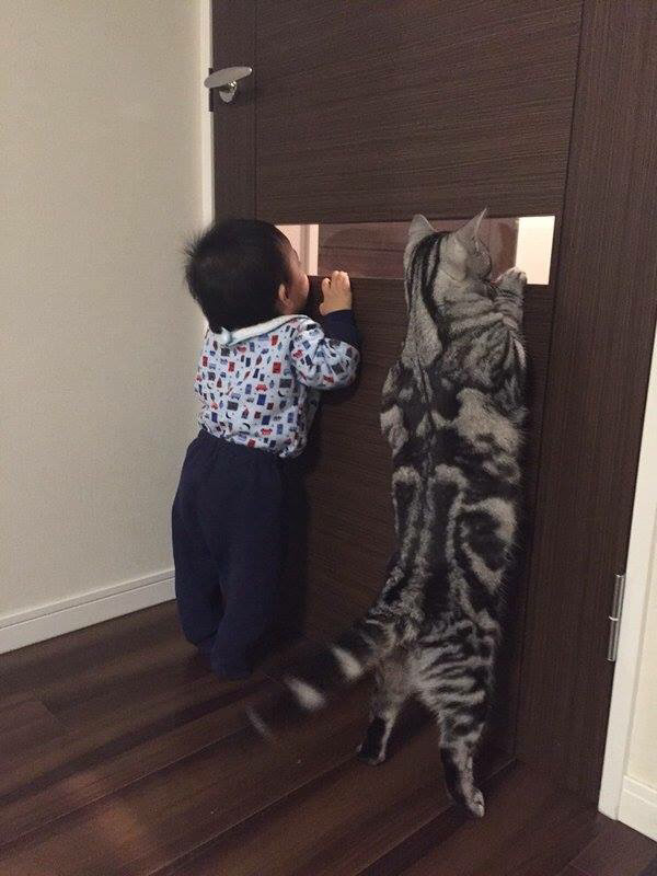 같이보자냥~!! | 인스티즈