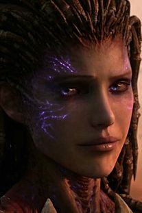 블리자드 게임 중 인기가 많은 케릭터를 뽑아보자.jpg | 인스티즈