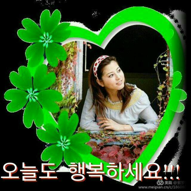 시골오리 이미지